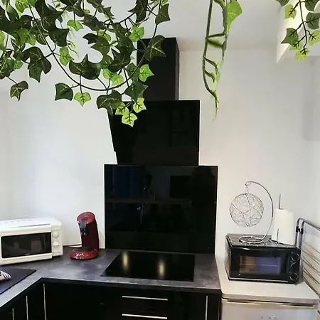 Cosy A 50m De La De Apartamento
